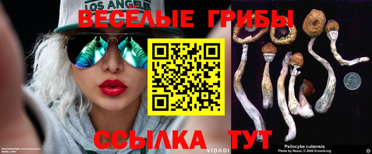 купить наркотик  Вход с VPN  Апшеронск  Галлюциногенные грибы ЛСД 